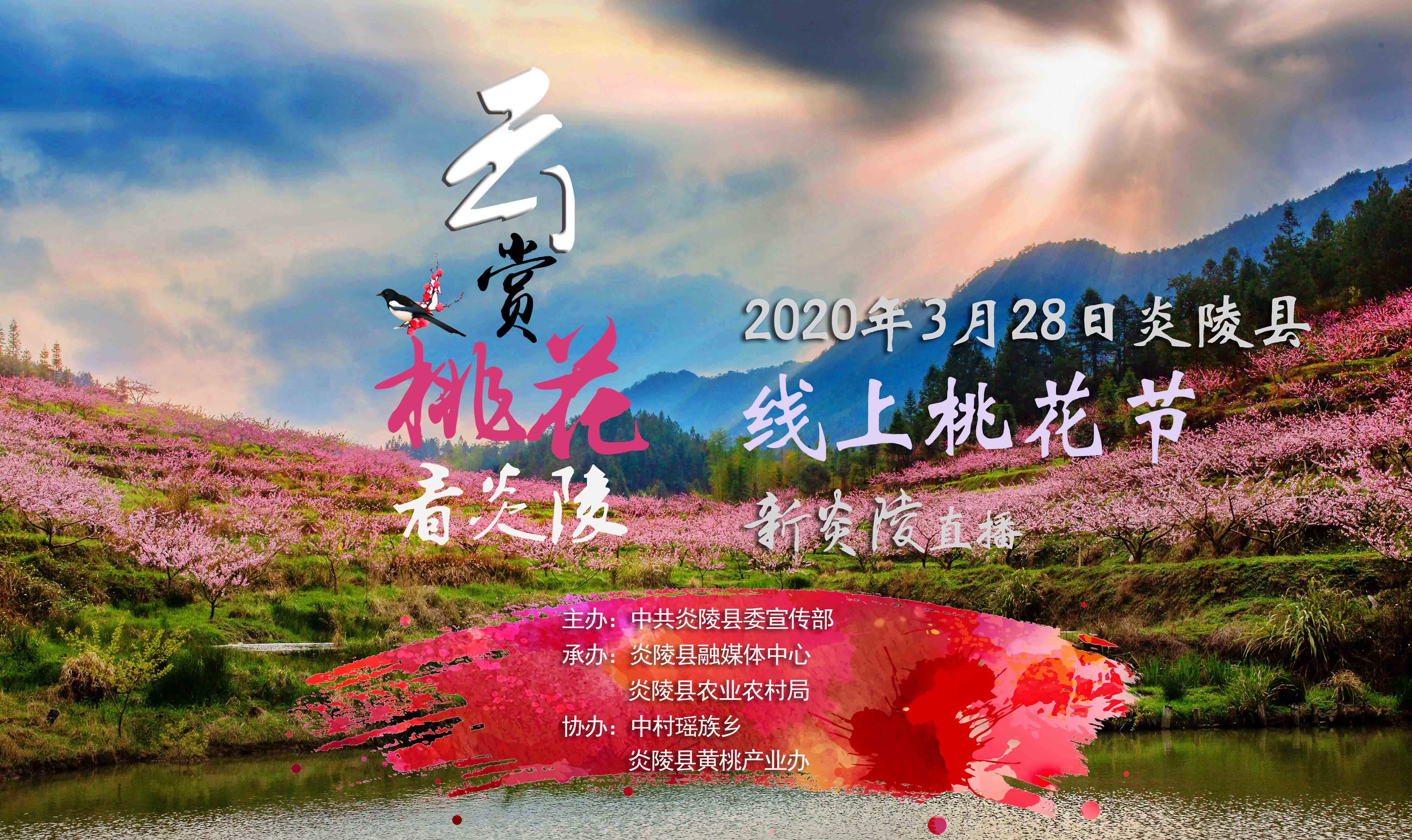 无法加载