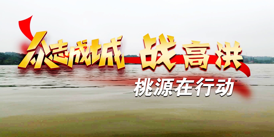 无法加载
