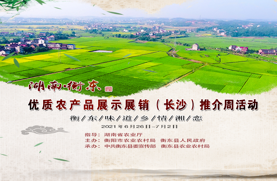 无法加载